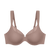 BMU Illusion Curve