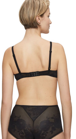 Wild Rose Sensation Wp