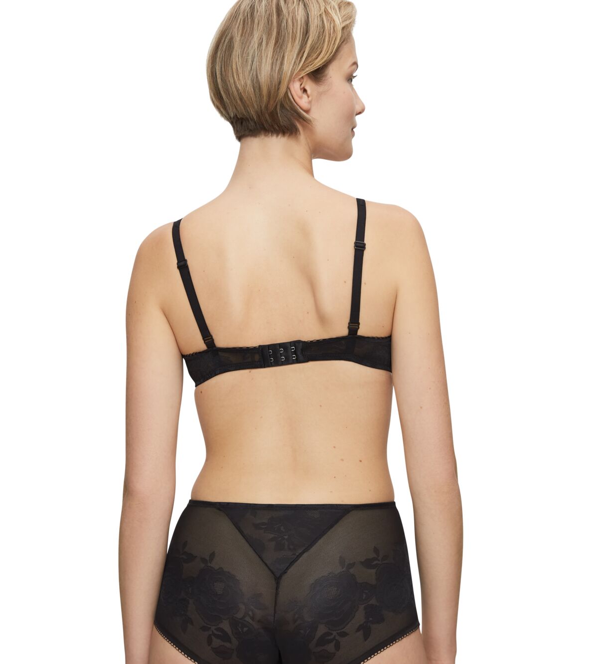 وايلد روز سينسيشن دبليو بي