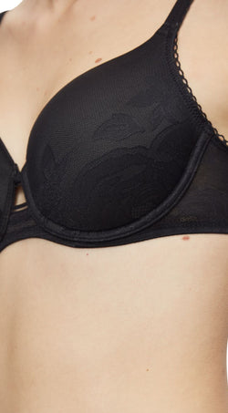 Wild Rose Sensation Wp