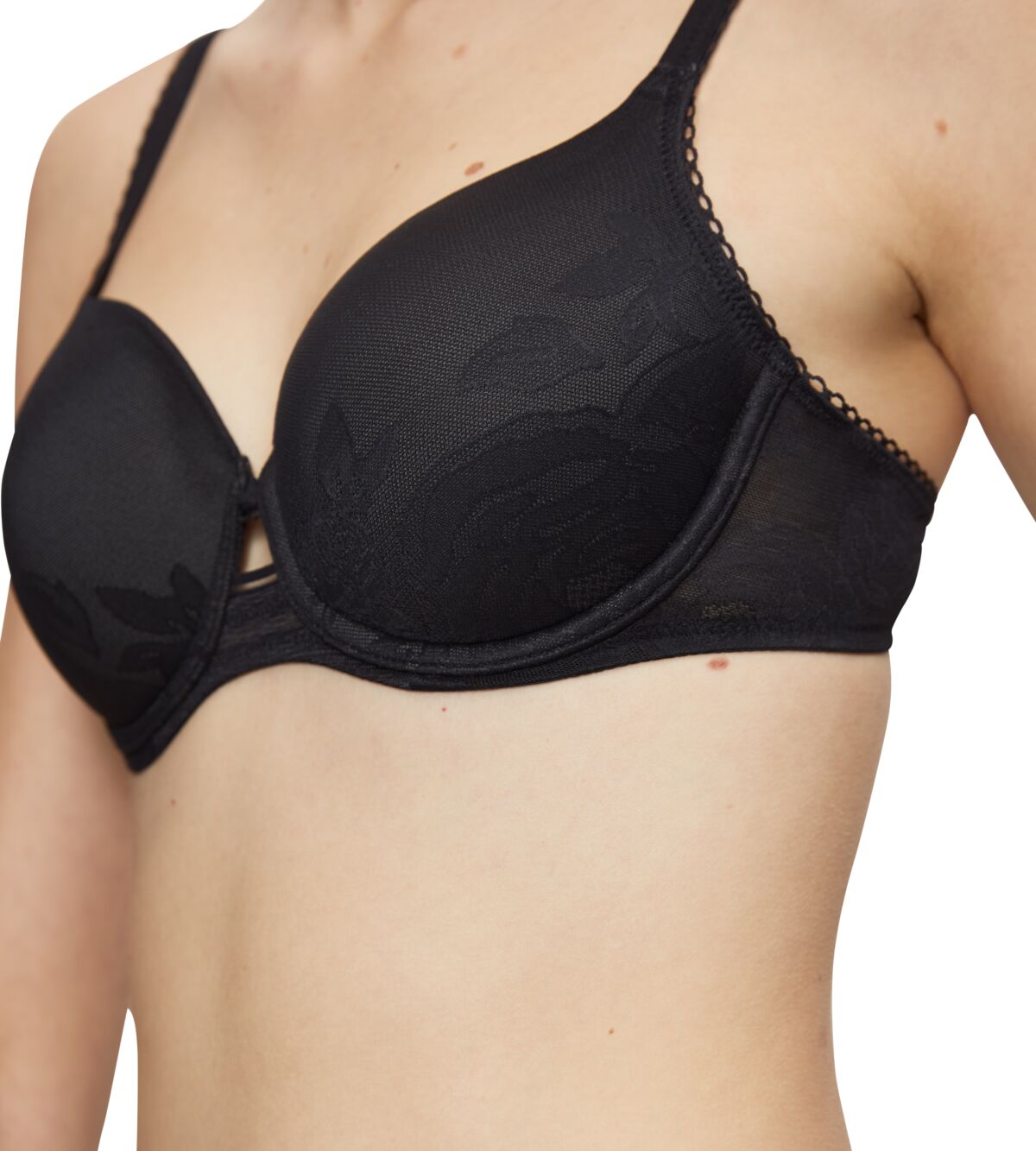 وايلد روز سينسيشن دبليو بي