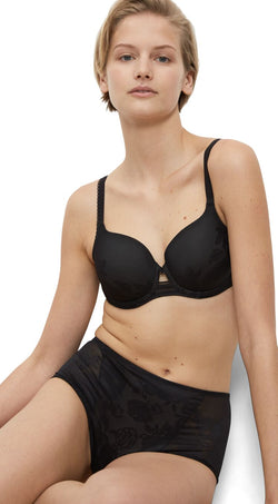 Wild Rose Sensation Wp